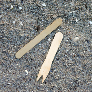 IJslollystokjes en houten vorkjes